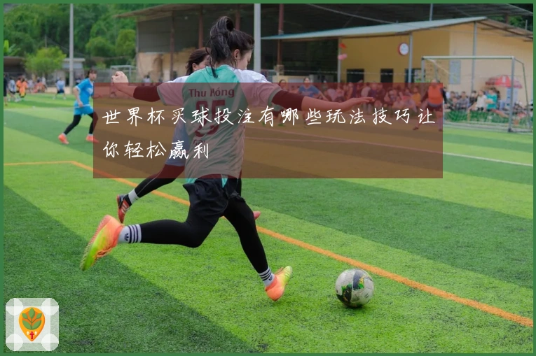 世界杯买球投注有哪些玩法技巧让你轻松赢利
