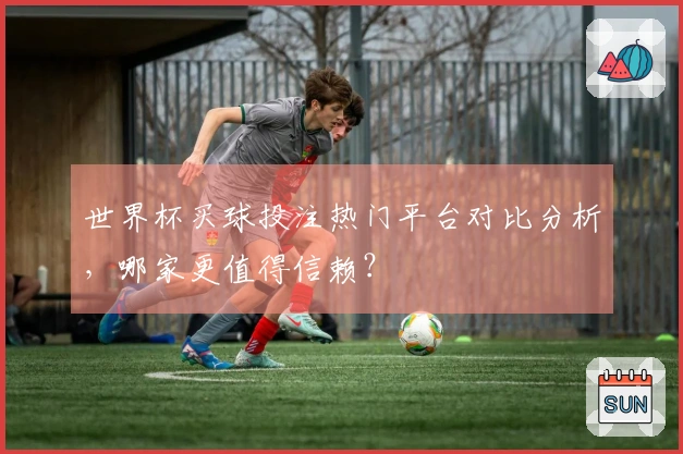 世界杯买球投注热门平台对比分析，哪家更值得信赖？