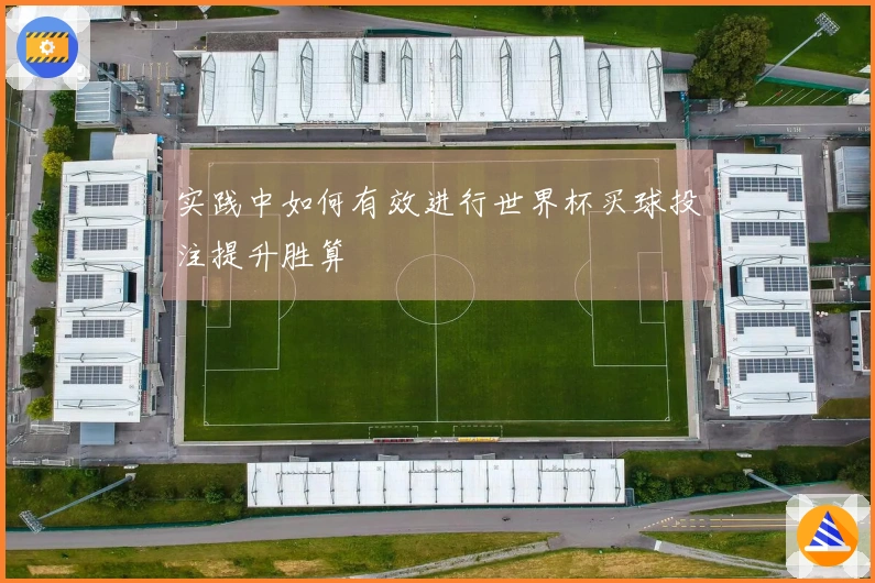 实践中如何有效进行世界杯买球投注提升胜算