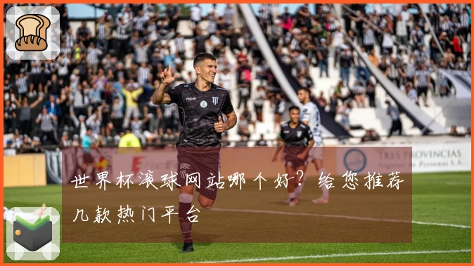 世界杯滚球网站哪个好？给您推荐几款热门平台