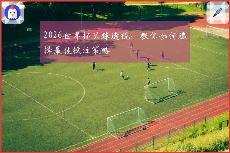 2026世界杯买球透视，教你如何选择最佳投注策略