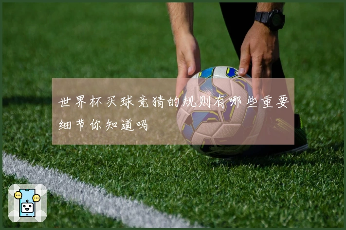 世界杯买球竞猜的规则有哪些重要细节你知道吗