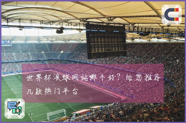 世界杯滚球网站哪个好？给您推荐几款热门平台
