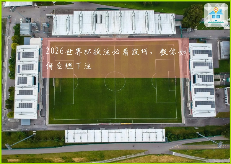 2026世界杯投注必看技巧，教你如何合理下注