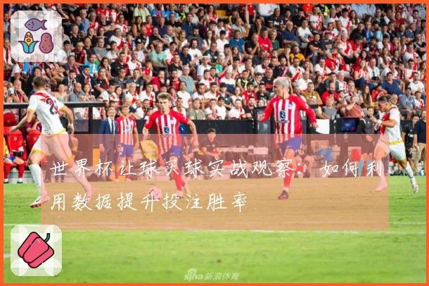 世界杯让球买球实战观察：如何利用数据提升投注胜率