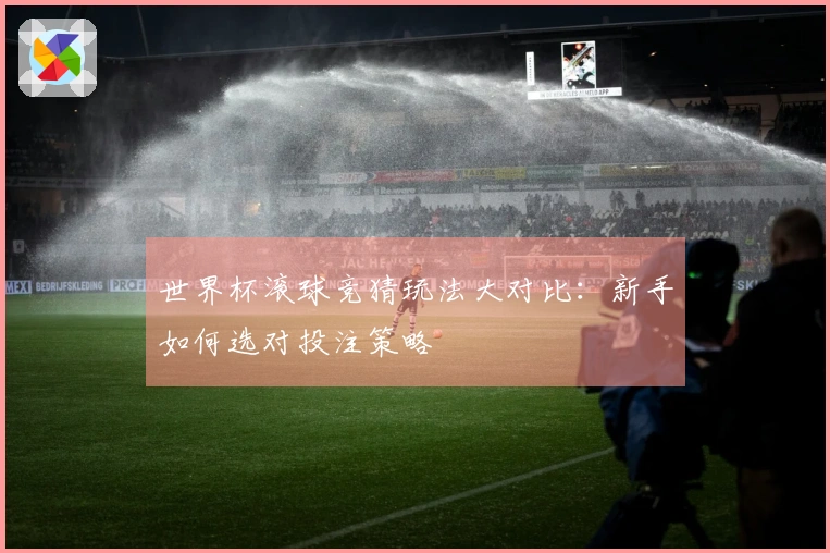 世界杯滚球竞猜玩法大对比：新手如何选对投注策略